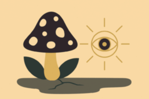 Preparing for a Psychedelic Journey- A Guide for the Soul Preparing for a Psychedelic Journey- A Guide for the Soul